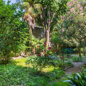 Belle Arti Gallery Garden House